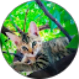Review From Beta Ariana