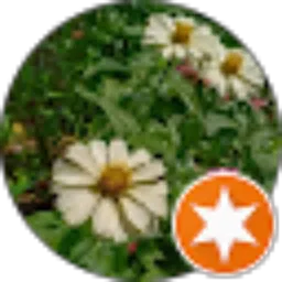 Review From Sesrama S