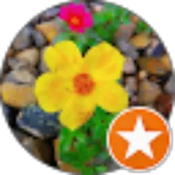 Review From Caswi Widia S