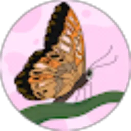 Review From Rita Agustina