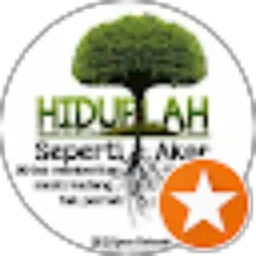 Review From Hadi Mustar