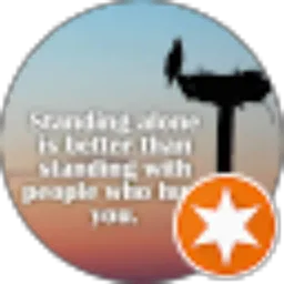 Review From novi