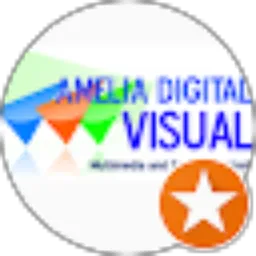 Review From Amelia Digital