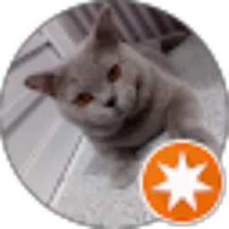 Review From SH