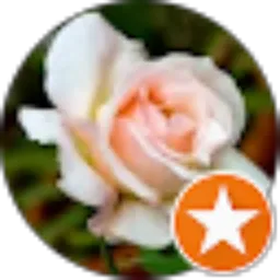 Review From Rokhayati Probosiwi