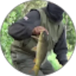 Review From Andro Max Mancing