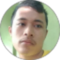 Review From Dimas Roy