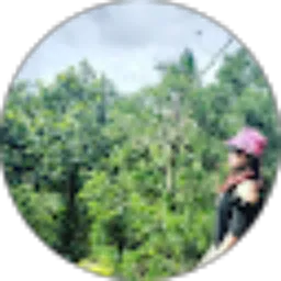 Review From Risma Eli Rosalin Tambunan