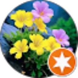 Review From Momyfa