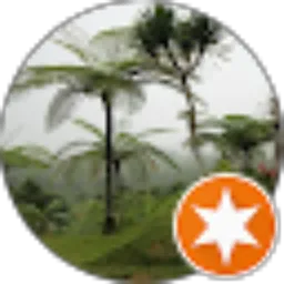 Review From Tut Wi
