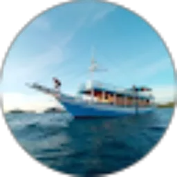 Review From Hadi Irawan