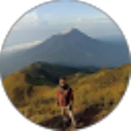 Review From Anang Thoyfur
