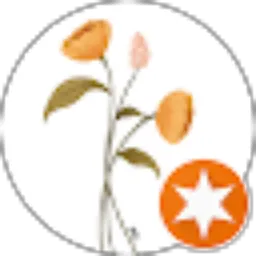 Review From Diana Felani