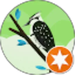 Review From Ngo Wos
