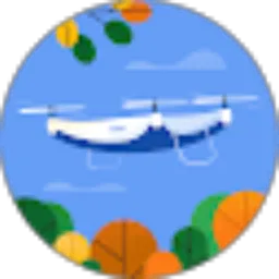 Review From R