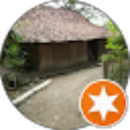 Review From cuwo holik