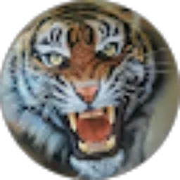 Review From Fikriw B0C1L