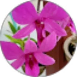 Review From Riewatty Agrioz