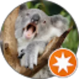 Review From William How