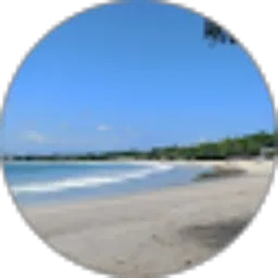 Review From Gypsea Explorer