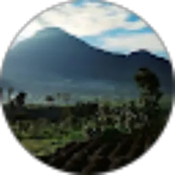 Review From Dieng Khayangan
