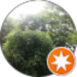 Review From kus mar
