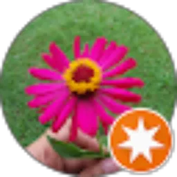 Review From Hana R.Ikhtiari