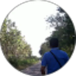 Review From Pudjo Setiono