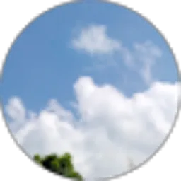 Review From __