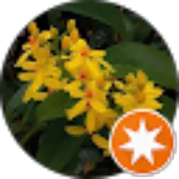 Review From Z S