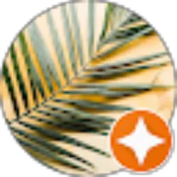 Review From Jon Jones