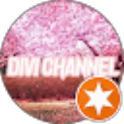 Review From Divi Channel