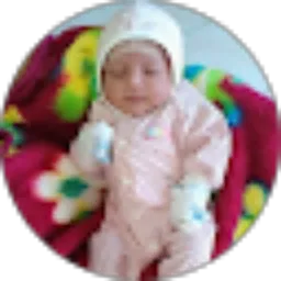 Review From Evano Gauzan Daniswara