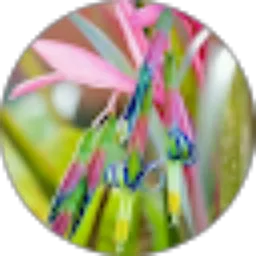 Review From amy m