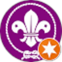 Review From Sahir scout0