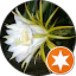 Review From Cahgalek215