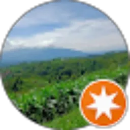 Review From Wiwih Winarti