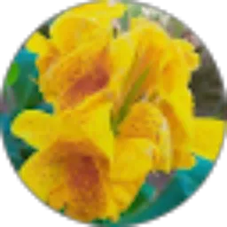 Review From isabella yulinshia c v