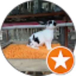 Review From Biyan Rabbit farm