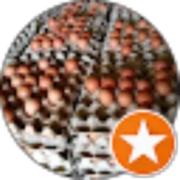 Review From Unix Egg distributor telor
