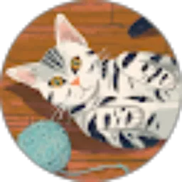 Review From pikiikoko