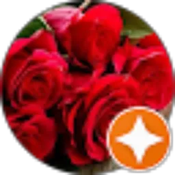 Review From Illa