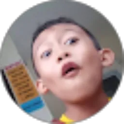 Review From 20. Kadek Romy pernanda .J.