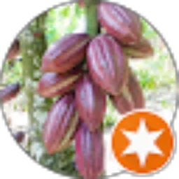 Review From didik deky