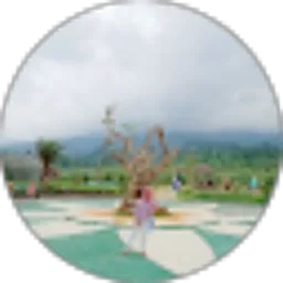 Review From Zuli Puji Lestari
