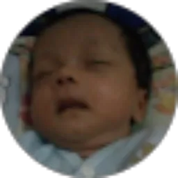 Review From Raihan Ramadhani
