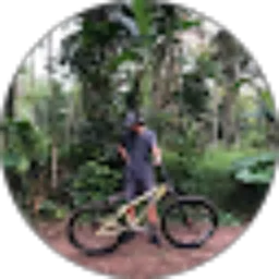 Review From Bagas Kusumo