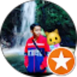 Review From Wahyu Sholahudin