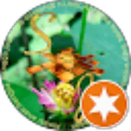 Review From SJ. CHANNEL