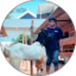 Review From Ryan Fahrizal